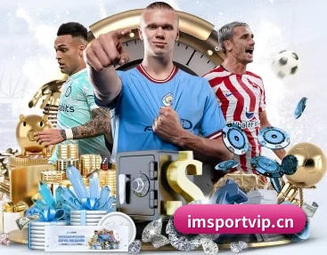 IM体育sportvip APP 深度功能